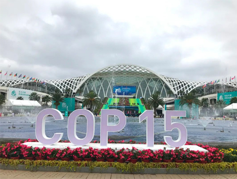 ϹԹԼCOP15Ŀ4K